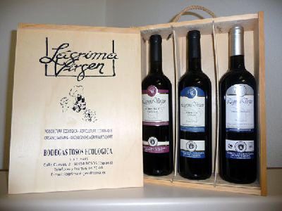 Foto Noticia El vino ecológico se abre paso en un mercado competitivo