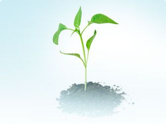 Foto Noticia Producción Ecológica frente al Cambio Climático