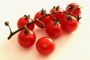 Distribuyen 25.000 manuales informativos sobre producción ecológica 