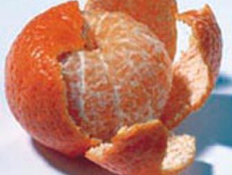 Foto Noticia Conozcamos algo más sobre las frutas