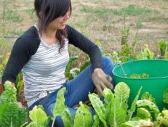 Foto Noticia El 74% de los ciudadanos reconoce el valor de una dieta sana, pero sólo el 6% hace una alimentación saludable