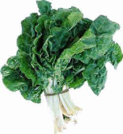 Foto Noticia Las Verduras, imprescindibles para una alimentación saludable 