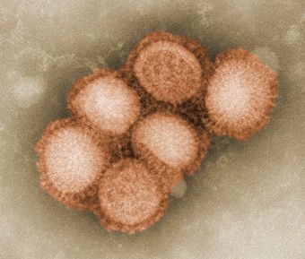 Foto Noticia Tratamiento preventivo Gripe A - Gripe H1N1