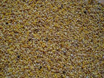 Foto Noticia Cereales y granos milenarios
