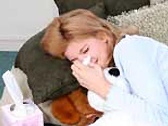 Foto Noticia Echinacea o Equinacea