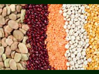 Foto Noticia Combinar las proteínas vegetales, ¿es necesario?
