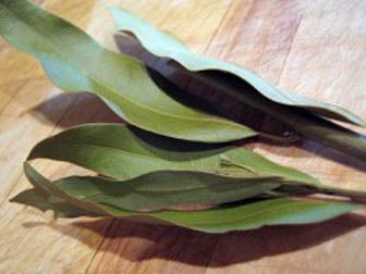 Las propiedades digestivas del laurel