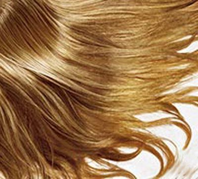 Foto Noticia Lo que debes comer para fortalecer el cabello y evitar la caída.