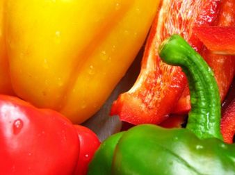 Foto Noticia Alimentos ecológicos entre los escolares oscenses