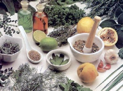 Foto Noticia Plantas con fines terapéuticos