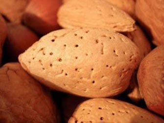 Foto Noticia Vitamina E, un potente antioxidante