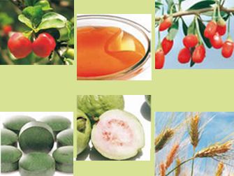 Foto Noticia Las bebidas saludables para el 2010