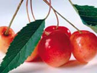 Foto Noticia  El zumo de cereza mejora los ciclos de sueño y vigilia
