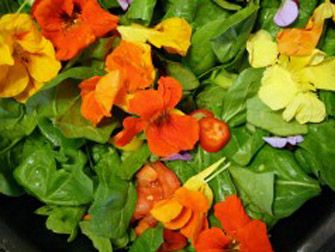 Flores para comer