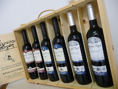 Foto Noticia El consumo moderado de cerveza o vino mantiene los huesos más sanos