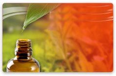Foto Noticia Biocosmética, lo último en belleza (2 de 2)