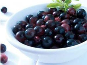 Foto Noticia El Acai, un antioxidante del Amazonas
