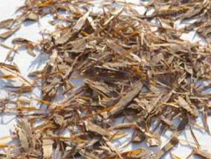 Foto Noticia Lapacho o pau d´arco, increíbles propiedades medicinales