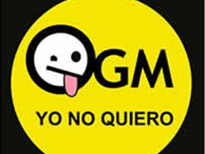 Foto Noticia Transgénicos: se avecina un desastre