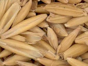 Foto Noticia Comer avena ayuda a disminuir la inflamación arterial