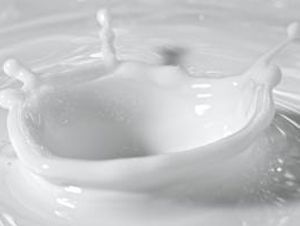 Foto Noticia Leche de sésamo, beneficios al instante