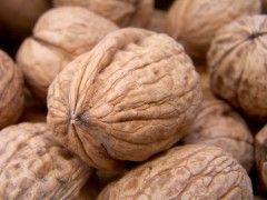 Foto Noticia Una dieta rica en nueces ayuda a mejorar la función endotelial de pacientes con diabetes tipo 2