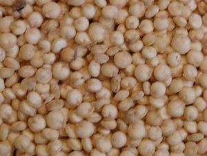 Foto Noticia Leche de quinoa