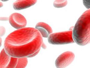 Foto Noticia Suplementos Nutricionales: clasificación