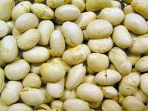 Foto Noticia Soja con más proteínas