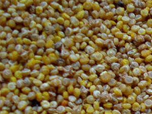 Foto Noticia Menús diarios: nuevos sabores
