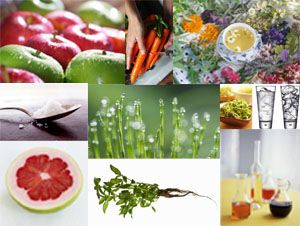 Foto Noticia 10 alimentos naturales para adelgazar