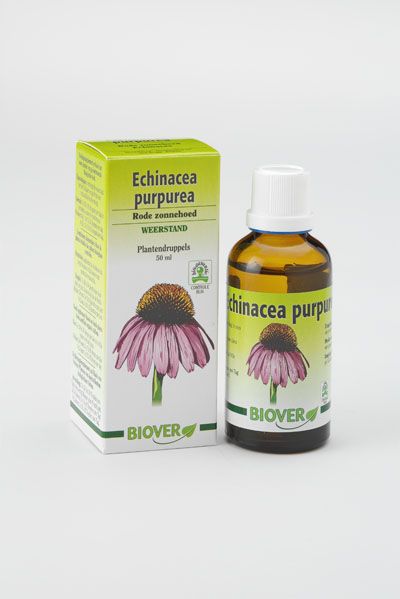 Tintura de Echinacea purpurea, aumenta la resistencia