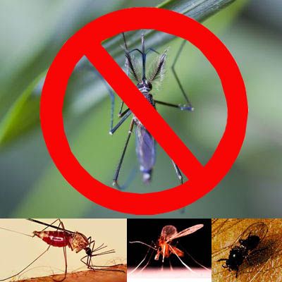 PACK ANTI MOSCAS Y MOSQUITOS
