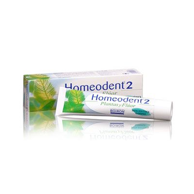 Pasta dentífrica HOMEODENT SABOR CLOROFILA 75 ml, protección integral dientes y encías.