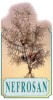 ARN04 NEFROSAN jarabe 250ml