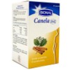 CANELA DM2 60cap.