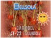 CF22 CAROBEL-ZANAHORIA 100comp