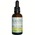 EXT.GAYUBA 50ml MAESE HERBARIO