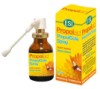PROPOLAID PROPOLGOLA SPRAY ORAL 20ml