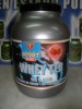 WHEY-TER fresa 1kg.