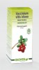VACINIUM VITIS IDEA 8grosellero) TM 50ml.
